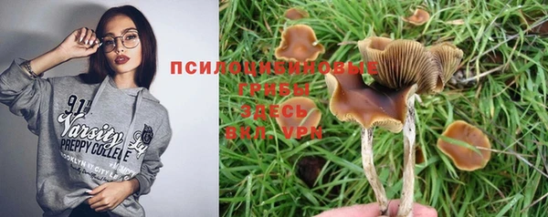 круглые Аркадак